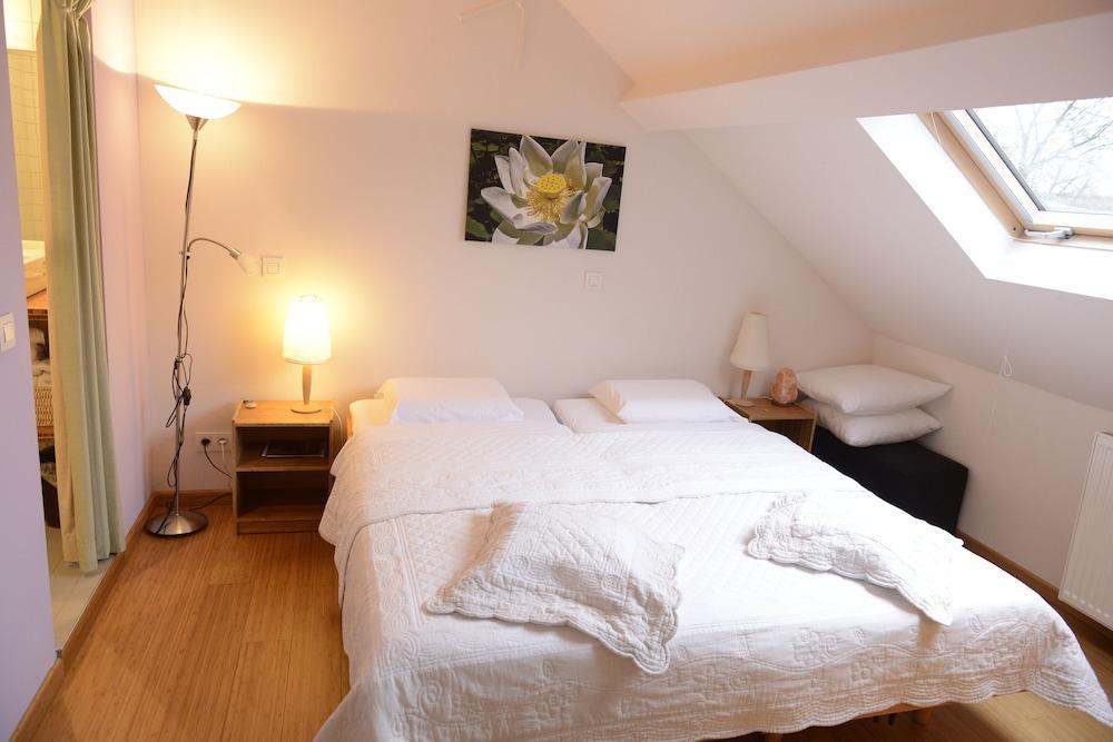 B&B Bio Brussels Saint-Gilles Exteriér fotografie